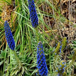 Don’t Be Afraid to Ask!!!